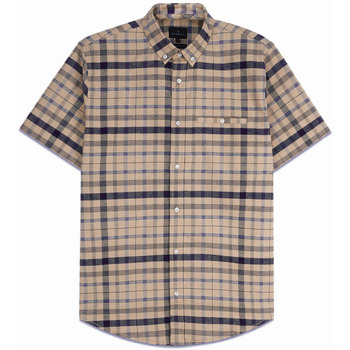 Enorsia Button Down SS Oxford Shirt men’s Short sleeved Shirt in Brown Enorsia Button Down SS Oxford Shirt men’s Short sleeved Shirt in Brown