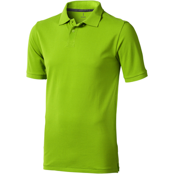 Elevate Calgary men’s Polo shirt in Green Elevate Calgary men’s Polo shirt in Green