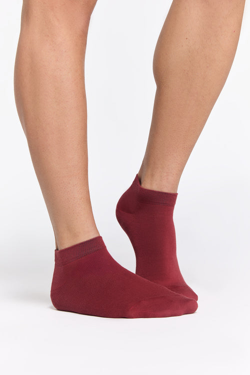 Organic Cotton Trainer Socks Pack – – Red Earth Organic Cotton Trainer Socks Pack – – Red Earth