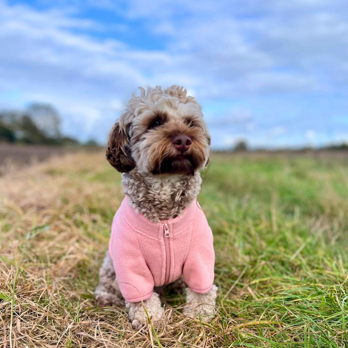 Dog Fleece Coat – Pale Pink Dog Fleece Coat – Pale Pink