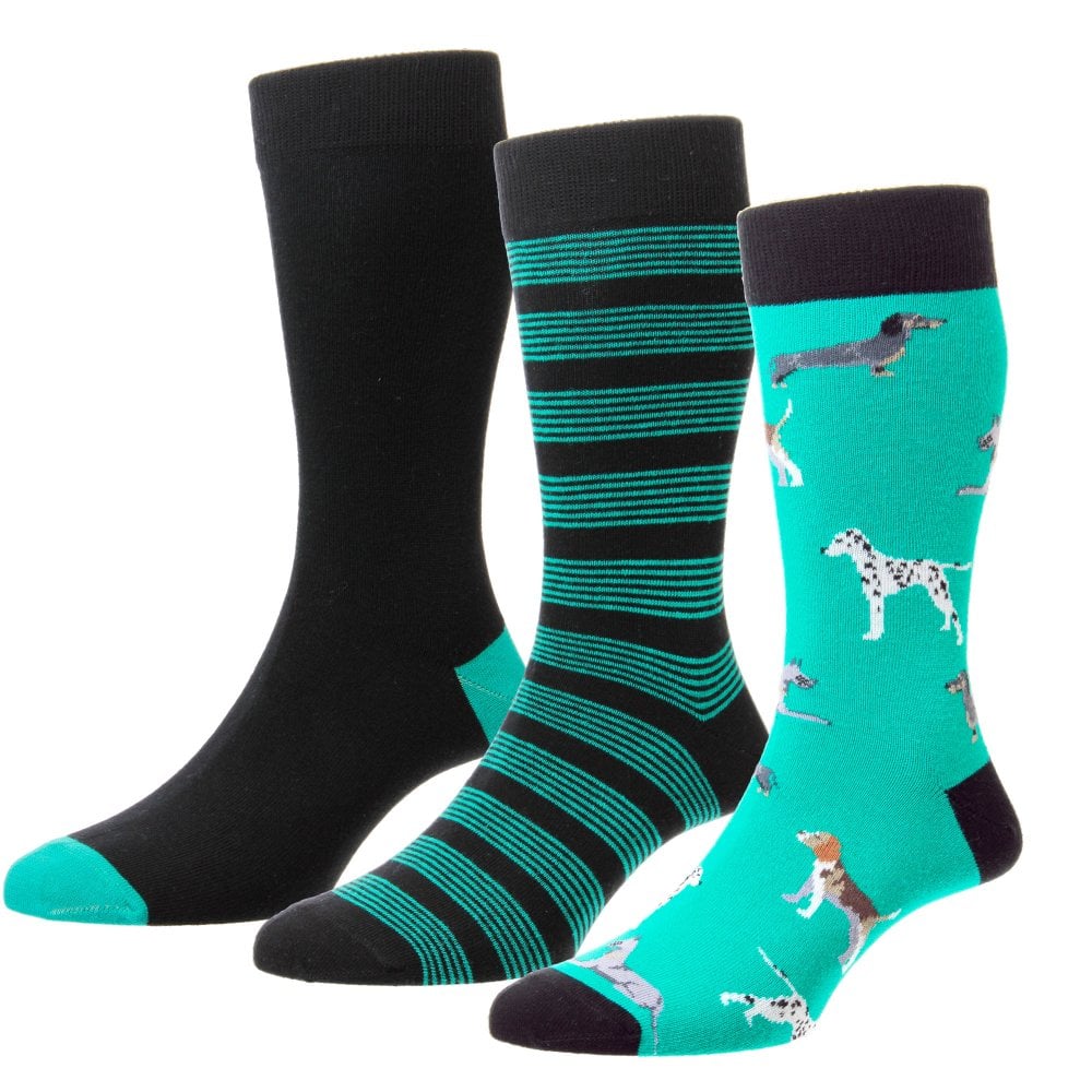 Beagle, Dalmatian, Dachshund Dog Breeds Mint Green Men's Socks – Pair Pack