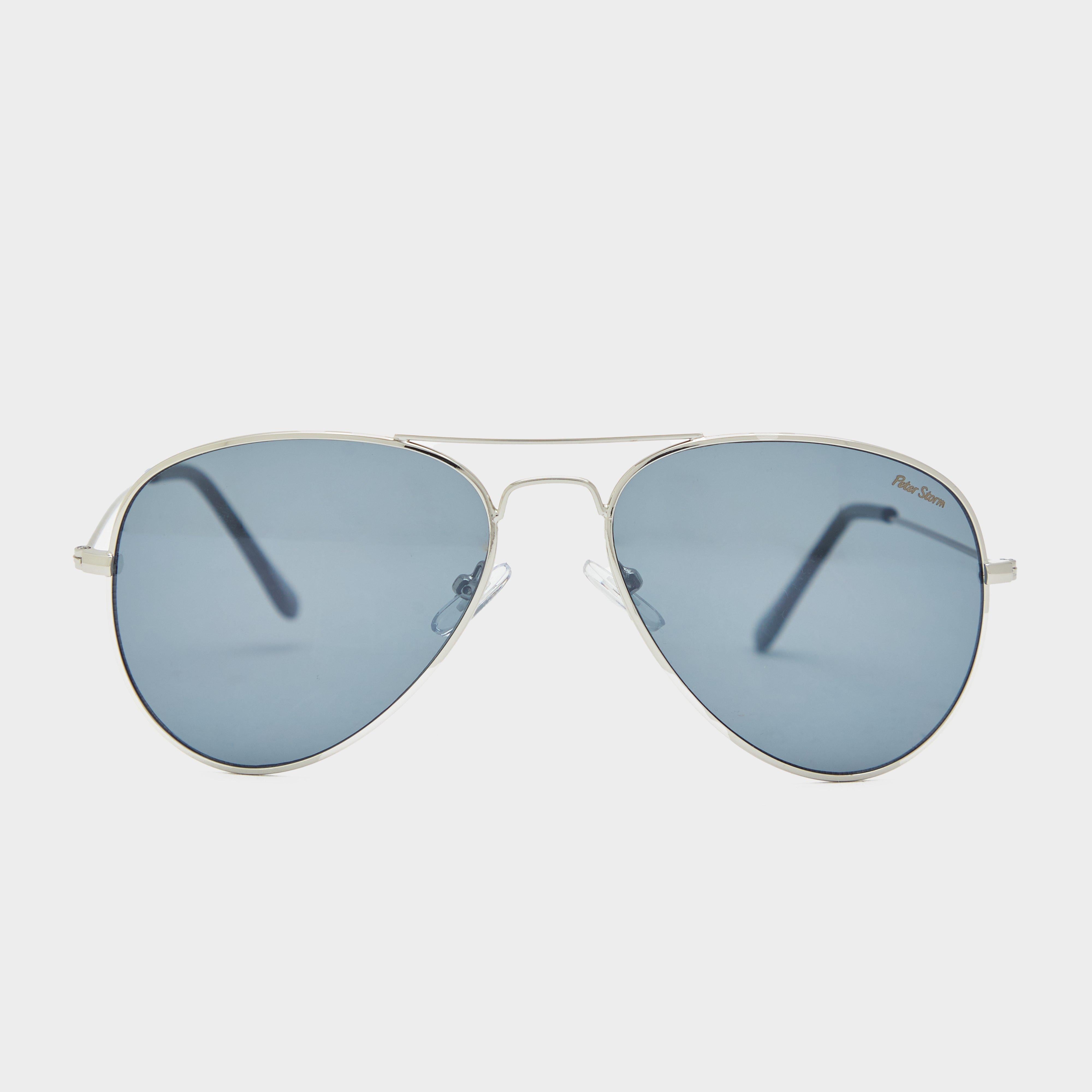 Brighton sunglasses – Silver One Size Brighton sunglasses – Silver One Size
