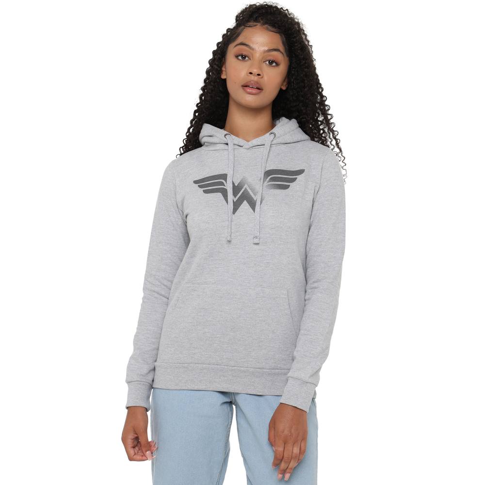Dc Comics Basic Logo Pullover Hoodie Grey Dc Comics Basic Logo Pullover Hoodie Grey