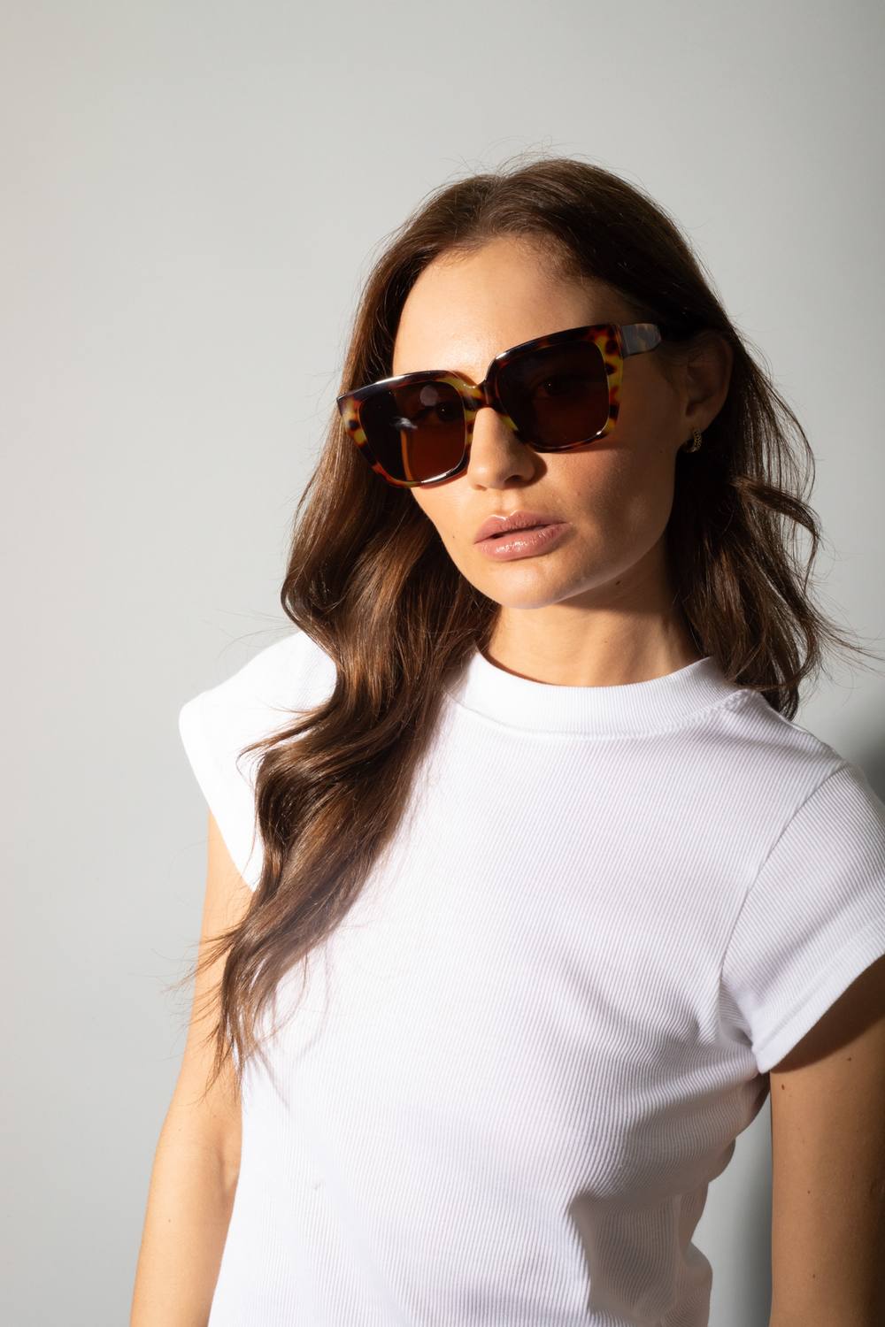 Svnx Tortoiseshell Oversized Cat Eye Sunglasses In Brown Svnx Tortoiseshell Oversized Cat Eye Sunglasses In Brown