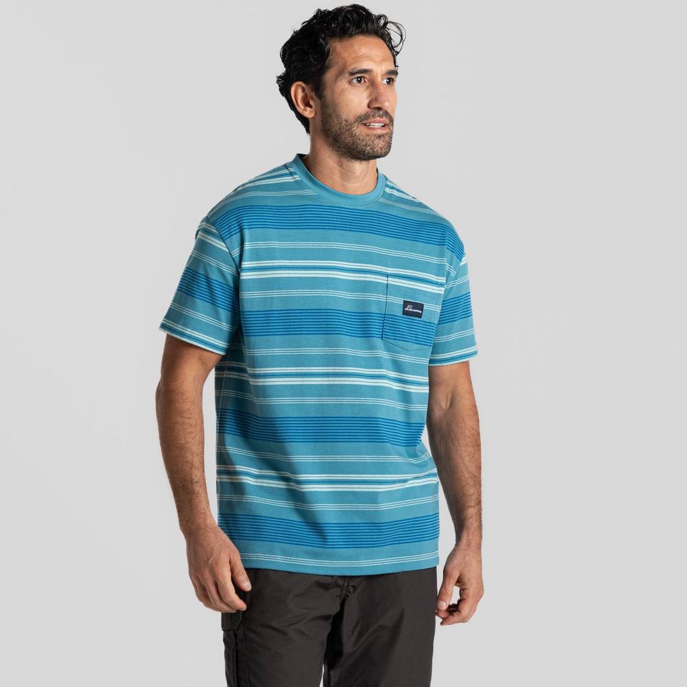 Craghoppers Pointer Short Sleeved Shirt In Blue Craghoppers Pointer Short Sleeved Shirt In Blue