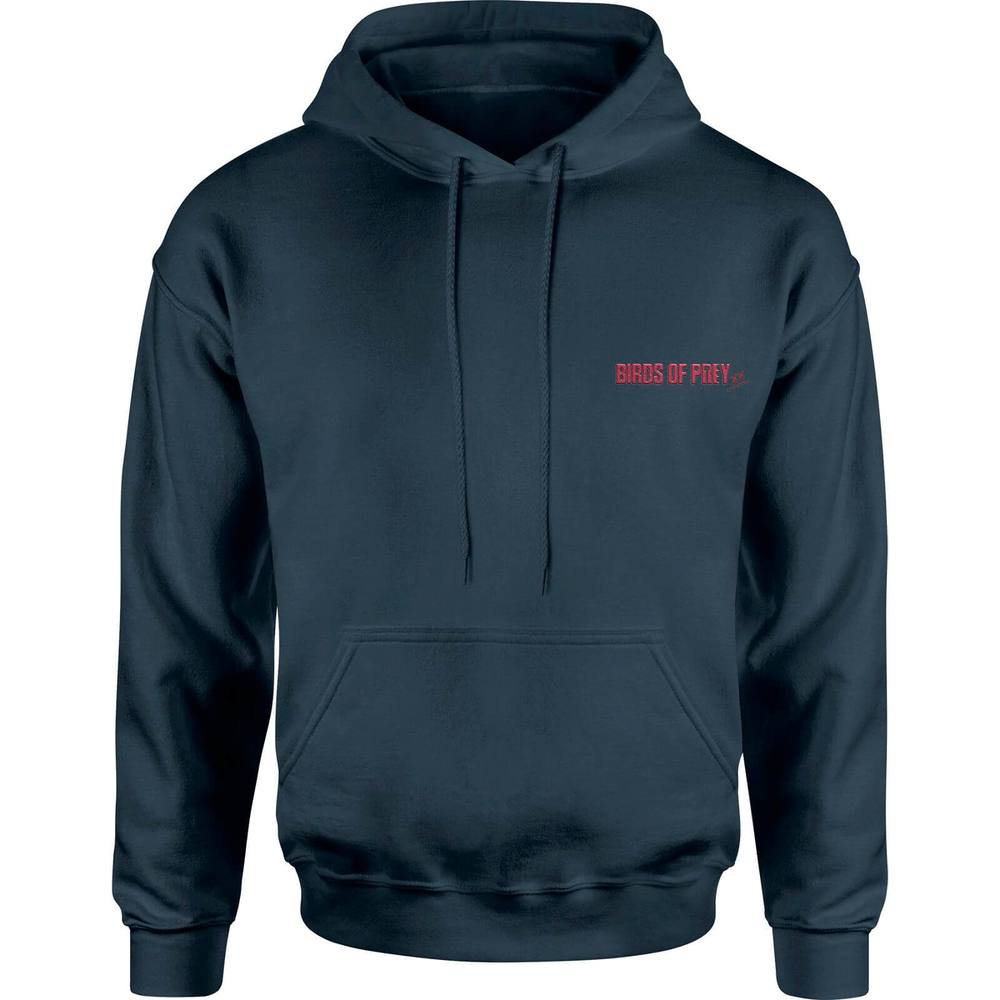 Dc Comics Dc Birds Of Prey Logo Embroidered Unisex Hoodie Dc Comics Dc Birds Of Prey Logo Embroidered Unisex Hoodie