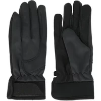 Gloves Whistler Telun Gloves Whistler Telun