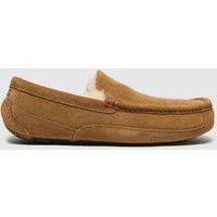 UGG Ascot Slippers in Chestnut UGG Ascot Slippers in Chestnut