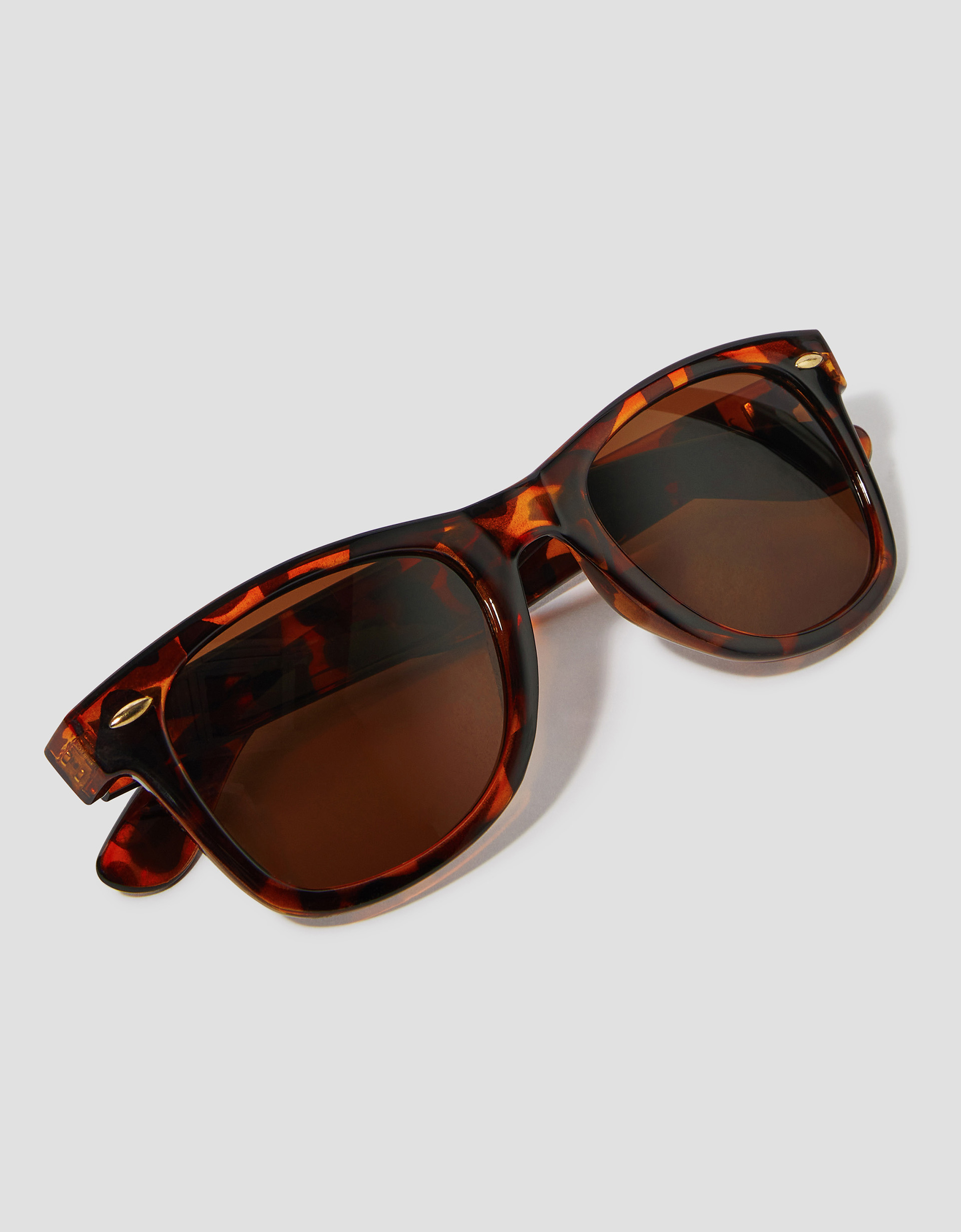 Wayfarer Sunglasses Brown
