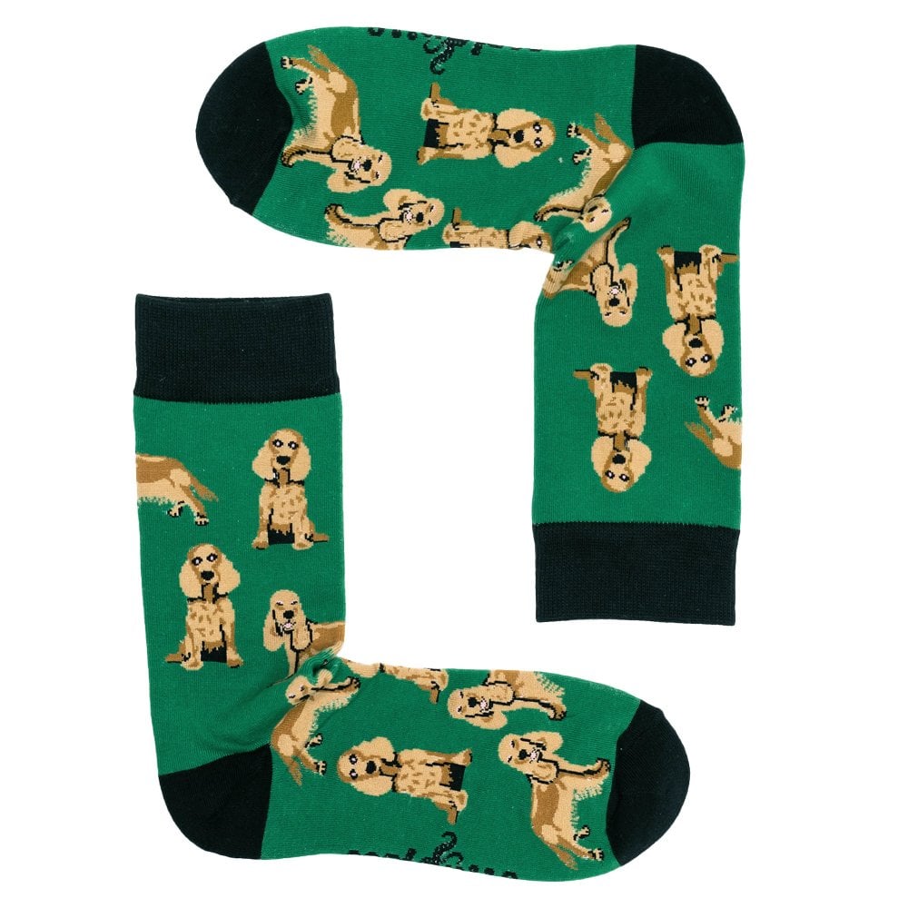Cocker Spaniel Green Combed Cotton Rich Socks – Size – Sock Size: –